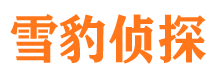 共和市侦探调查公司